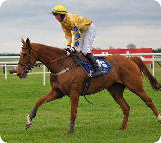 horse_racing