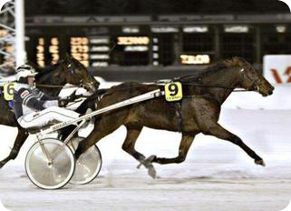 harness_racing